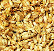 Dinkel