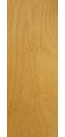 Red Alder