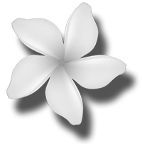 Bachblüte