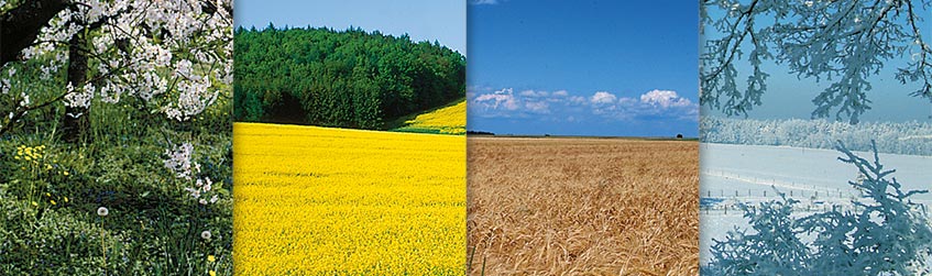zu jeder Jahreszeit die passende Zudecke