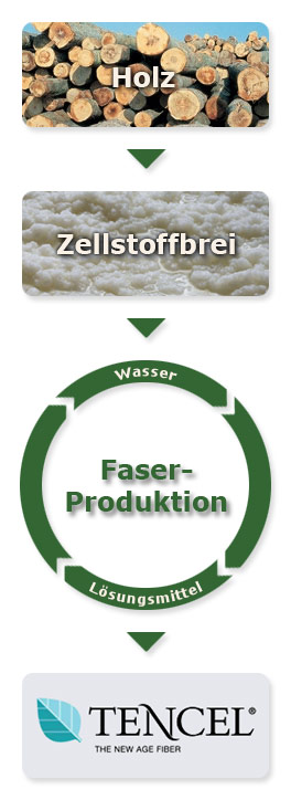 Grafik: Produktion von Lyocell / Tencel