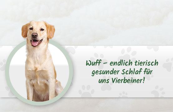 Emma stellt das neue heimtiersortiment vor