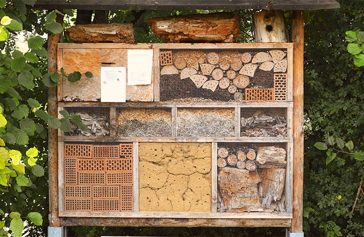 Insektenhaus