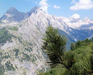 Alpen