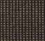 schwarz-braun schwarz-braun