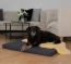 Perfekt passend für Ihre Hundematratze "Matela" Perfekt passend für Ihre Hundematratze "Matela"