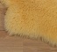 Fell in Tierform Fell in Tierform