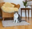Größe 80x60 cm ist ideal als gemütlicher Katzen-Schlafplatz geeignet Größe 80x60 cm ist ideal als gemütlicher Katzen-Schlafplatz geeignet