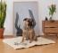 Größe 100x80 cm eignet sich hervorragend für mittelgroße Hunde Größe 100x80 cm eignet sich hervorragend für mittelgroße Hunde