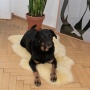 Fell mit schadstoffarmer Gerbung und extra hohem Flor zum Einkuscheln