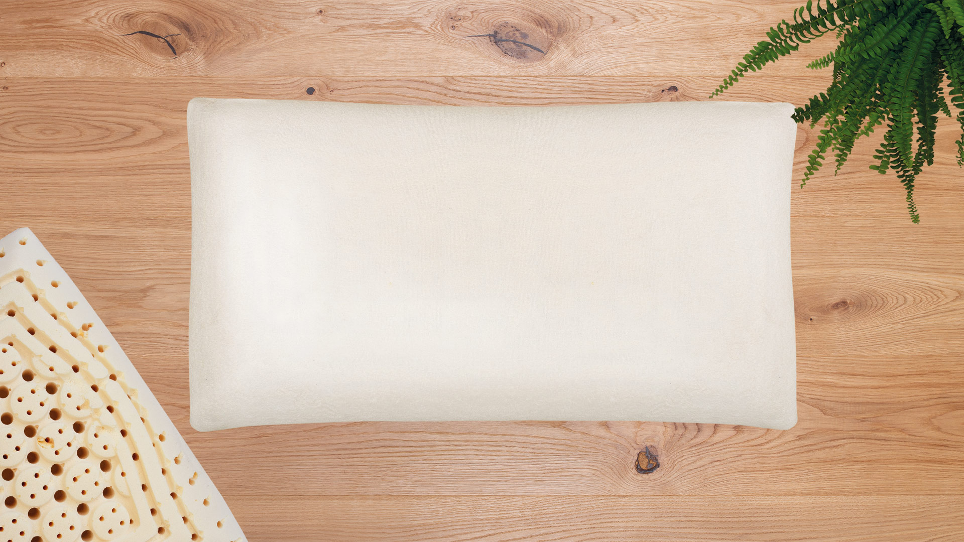 Nackenstützkissen Sana-Ergo aus Naturlatex
