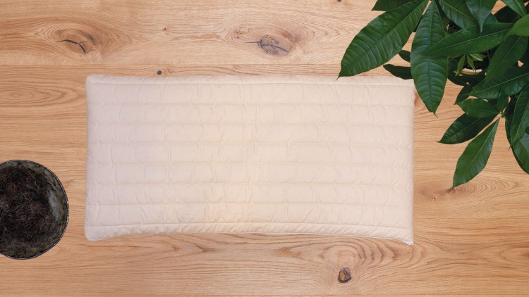 Fest-elastisches Naturhaarkissen für Bauch- und Halbseiten-Schläfer