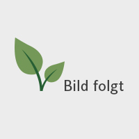 Bett mit Echtholzfurnier "Velanor" | 140x200 cm | Eiche geölt | Bio-Material | Handgefertigt | Metall, schwarz | schadstoffgeprüft | Massivholzbetten