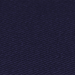 zoom_ 506_06_tn