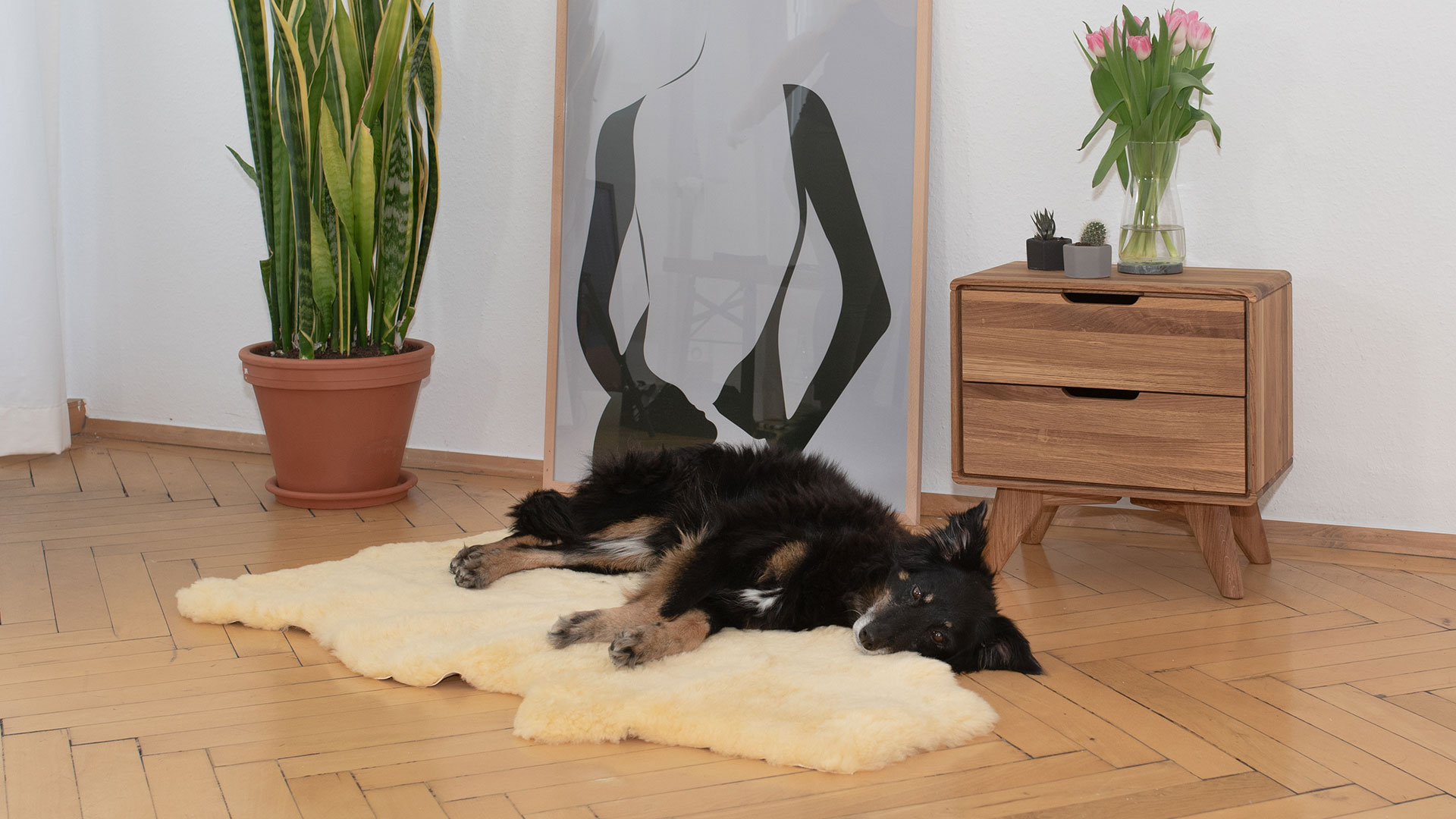 Schaffell "Lanado" Das natürliche, kuschelBettchen für Vierbeiner