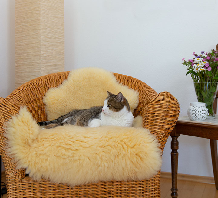 Fell mit schadstoffarmer Gerbung und extra hohem Flor zum Einkuscheln Fell mit schadstoffarmer Gerbung und extra hohem Flor zum Einkuscheln