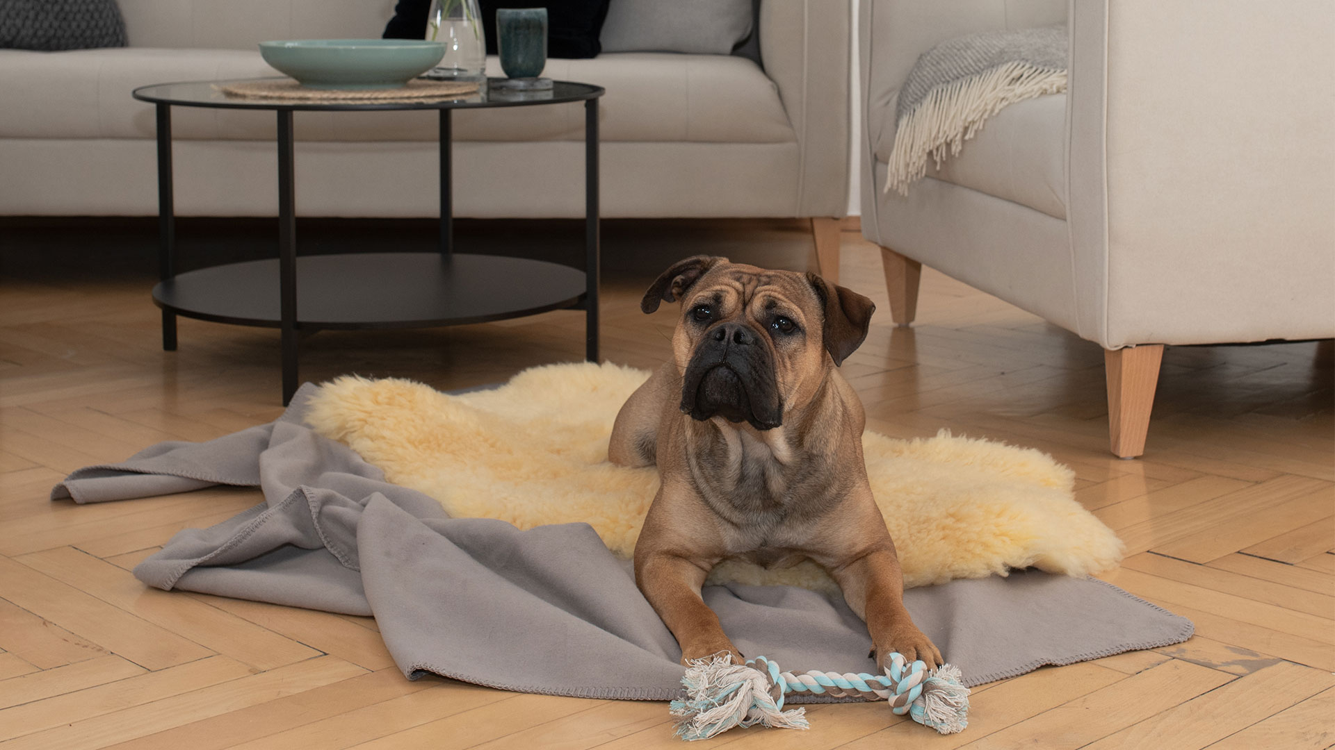 LanghaarSchaffell "Lanado" Fell für Hunde und Katzen