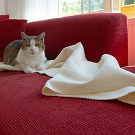 Hier kann Ihre Katze entspannt die Pfoten hochlegen und sich einkuscheln