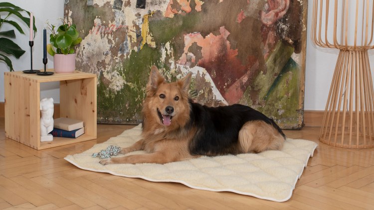 Gefüllte Steppdecke mit kuscheligem Flor und rutschfeser Unterseite