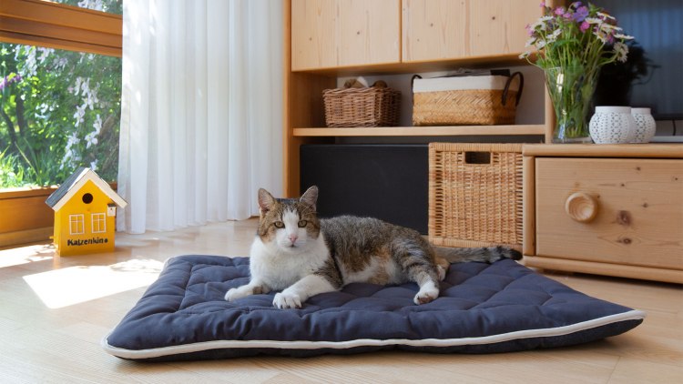 Bequeme Steppdecke mit rutschfester Unterseite